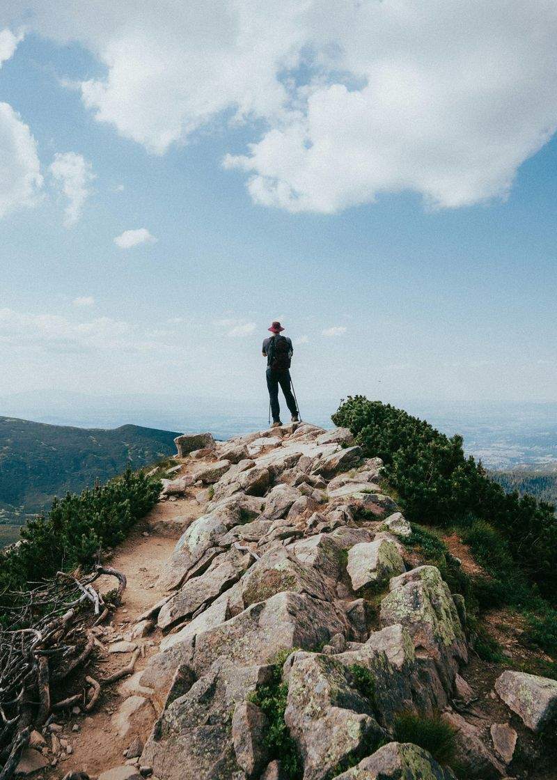 ZieleMeister GmbH - Image 10