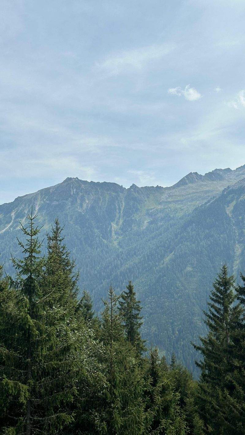 ZieleMeister GmbH - Image 8